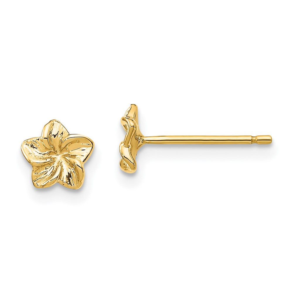 14K Gelbgold Plumeria Blume Ohrstecker