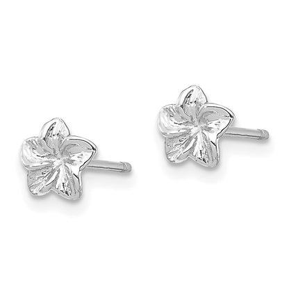 14K Weißgold Plumeria Blume Ohrstecker