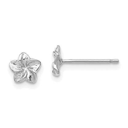 14K Weißgold Plumeria Blume Ohrstecker