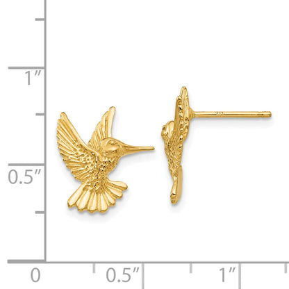 14K Gelbgold Hummingbird Ohrstecker
