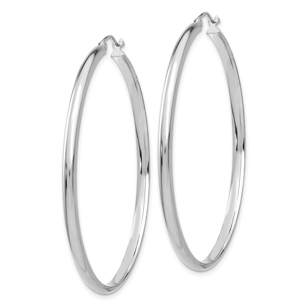 14K Weißgold Poliert Creole Ohrring