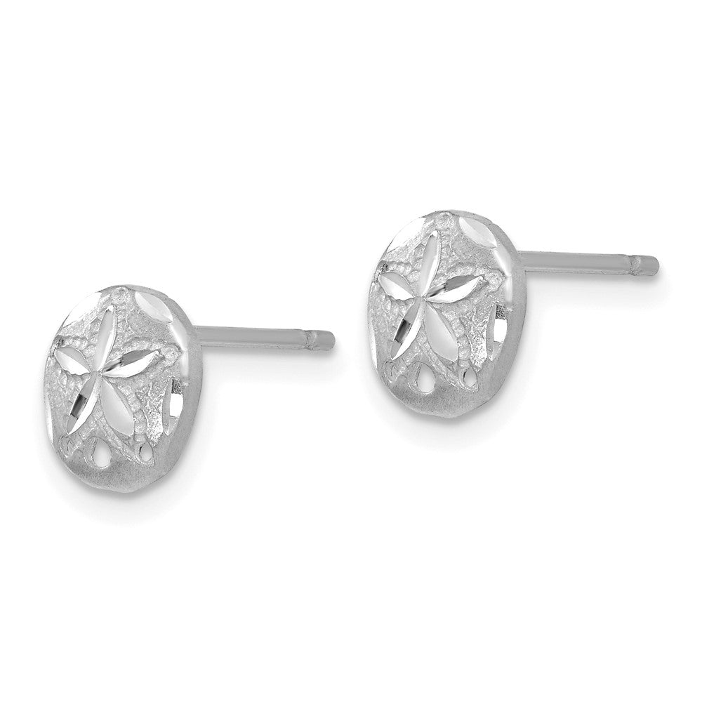 14K Weißgold Diamantiert Sand Dollar Ohrringe