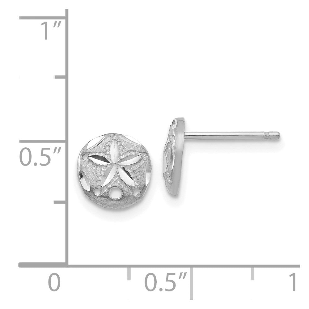 14K Weißgold Diamantiert Sand Dollar Ohrringe