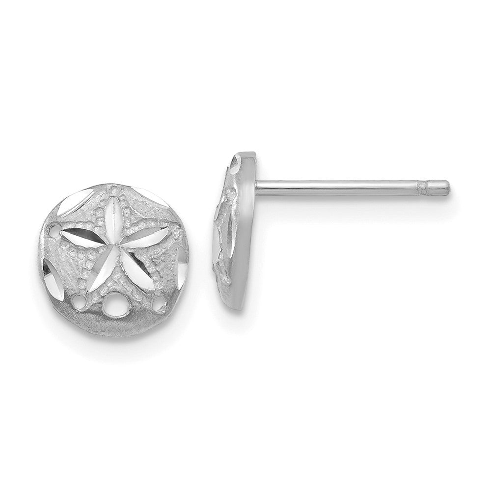 14K Weißgold Diamantiert Sand Dollar Ohrringe