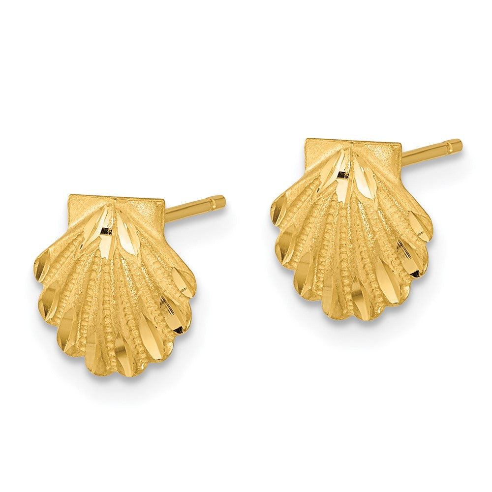 14K Gelbgold Satiniert Diamantiert Seashell Ohrstecker