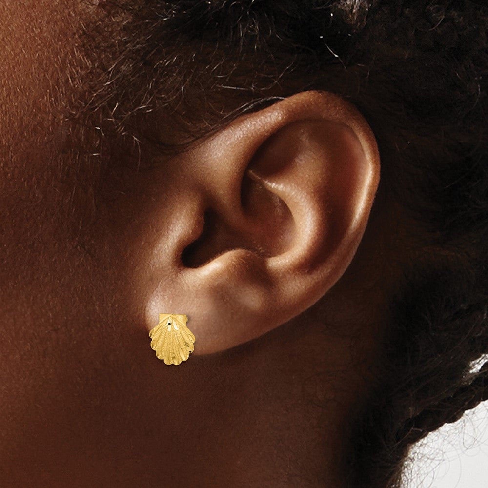 14K Gelbgold Satiniert Diamantiert Seashell Ohrstecker