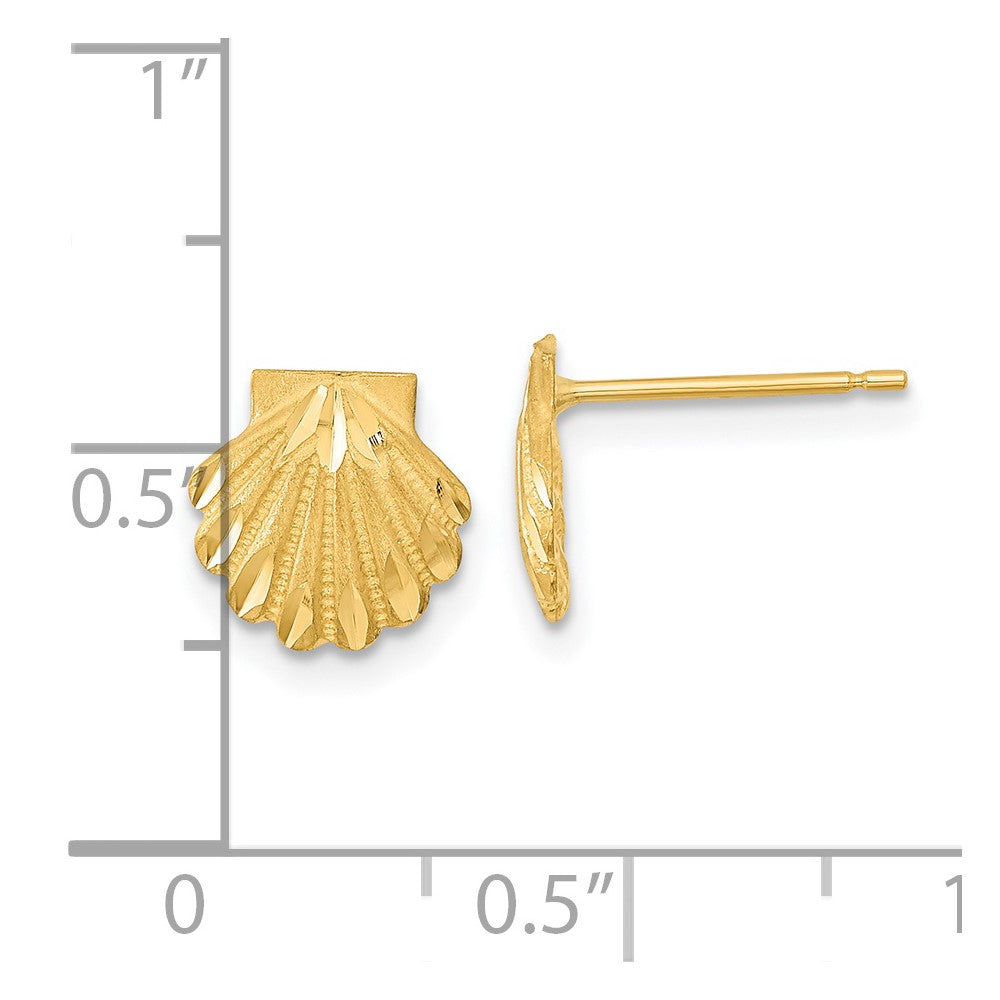 14K Gelbgold Satiniert Diamantiert Seashell Ohrstecker