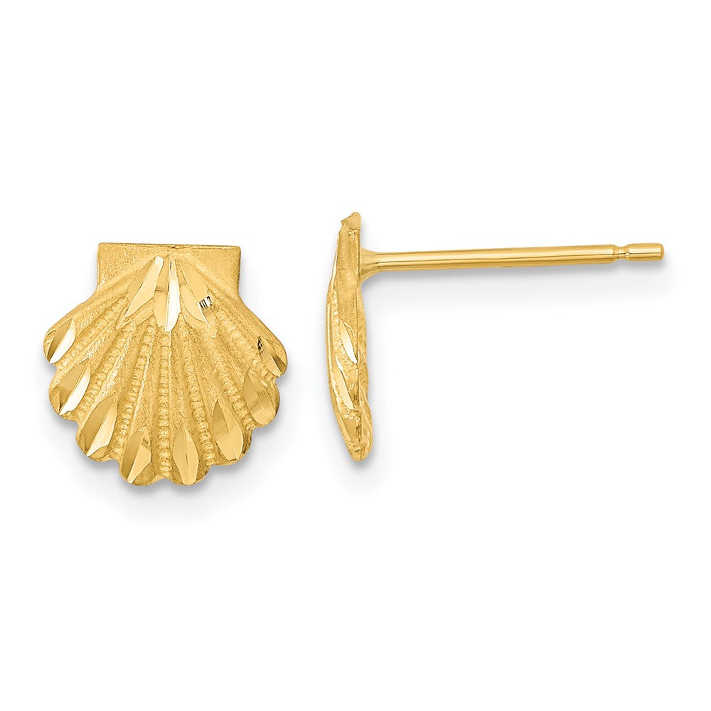 14K Gelbgold Satiniert Diamantiert Seashell Ohrstecker
