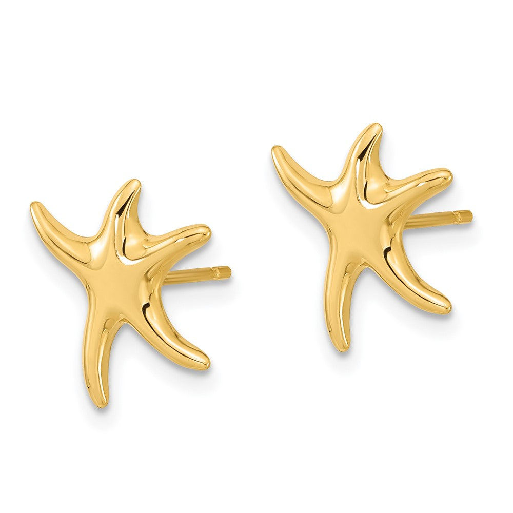 14K Gelbgold Seestern-Ohrstecker, poliert