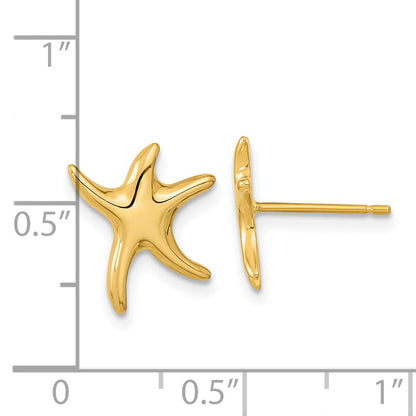 14K Gelbgold Seestern-Ohrstecker, poliert
