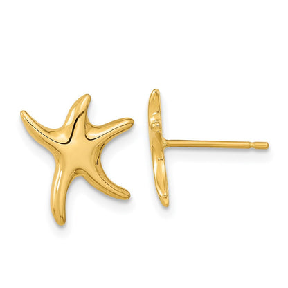 14K Gelbgold Seestern-Ohrstecker, poliert