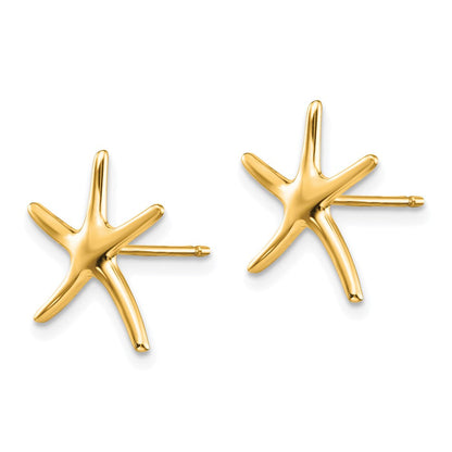 14K Gelbgold Seestern Ohrstecker