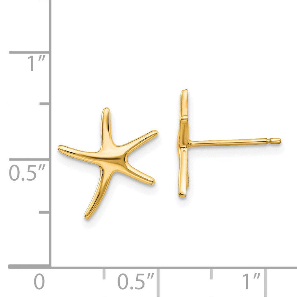14K Gelbgold Seestern Ohrstecker