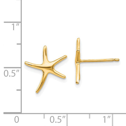 14K Gelbgold Seestern Ohrstecker