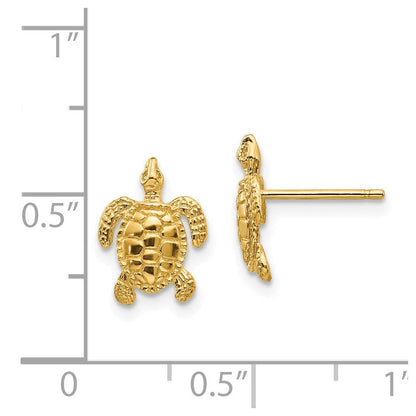 14K Gelbgold Meer Schildkröte Ohrstecker