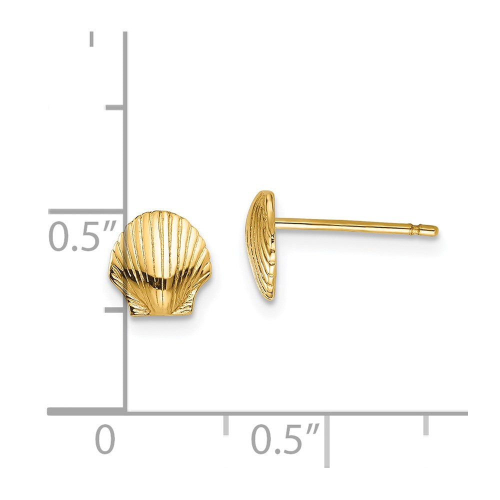14K Gelbgold Mini Muschel Ohrstecker