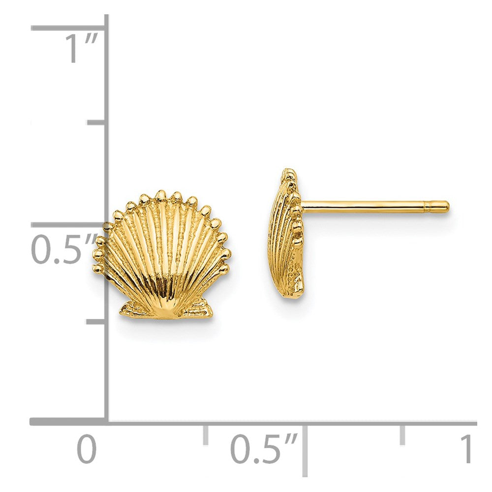 14K Gelbgold Muschel Ohrstecker
