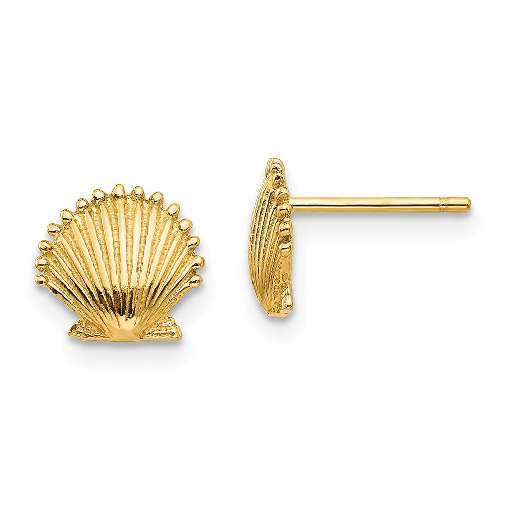 14K Gelbgold Muschel Ohrstecker