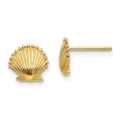 14K Gelbgold Muschel Ohrstecker