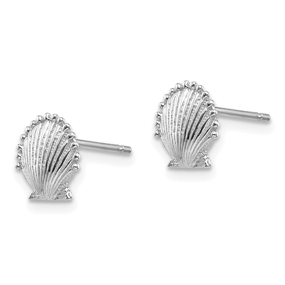 14K Weißgold Muschel Ohrstecker