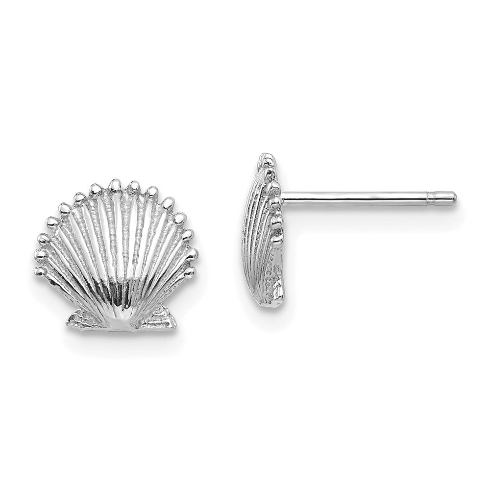 14K Weißgold Muschel Ohrstecker