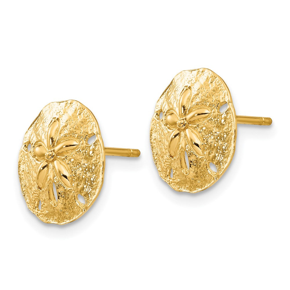 14K Gelbgold Sand Dollar Ohrstecker