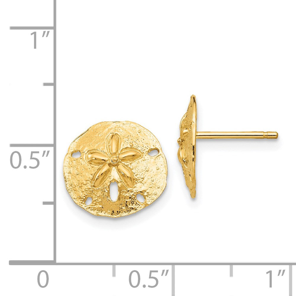 14K Gelbgold Sand Dollar Ohrstecker