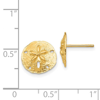 14K Gelbgold Sand Dollar Ohrstecker