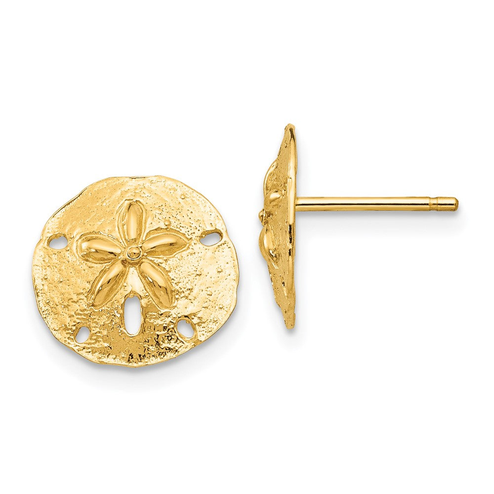 14K Gelbgold Sand Dollar Ohrstecker