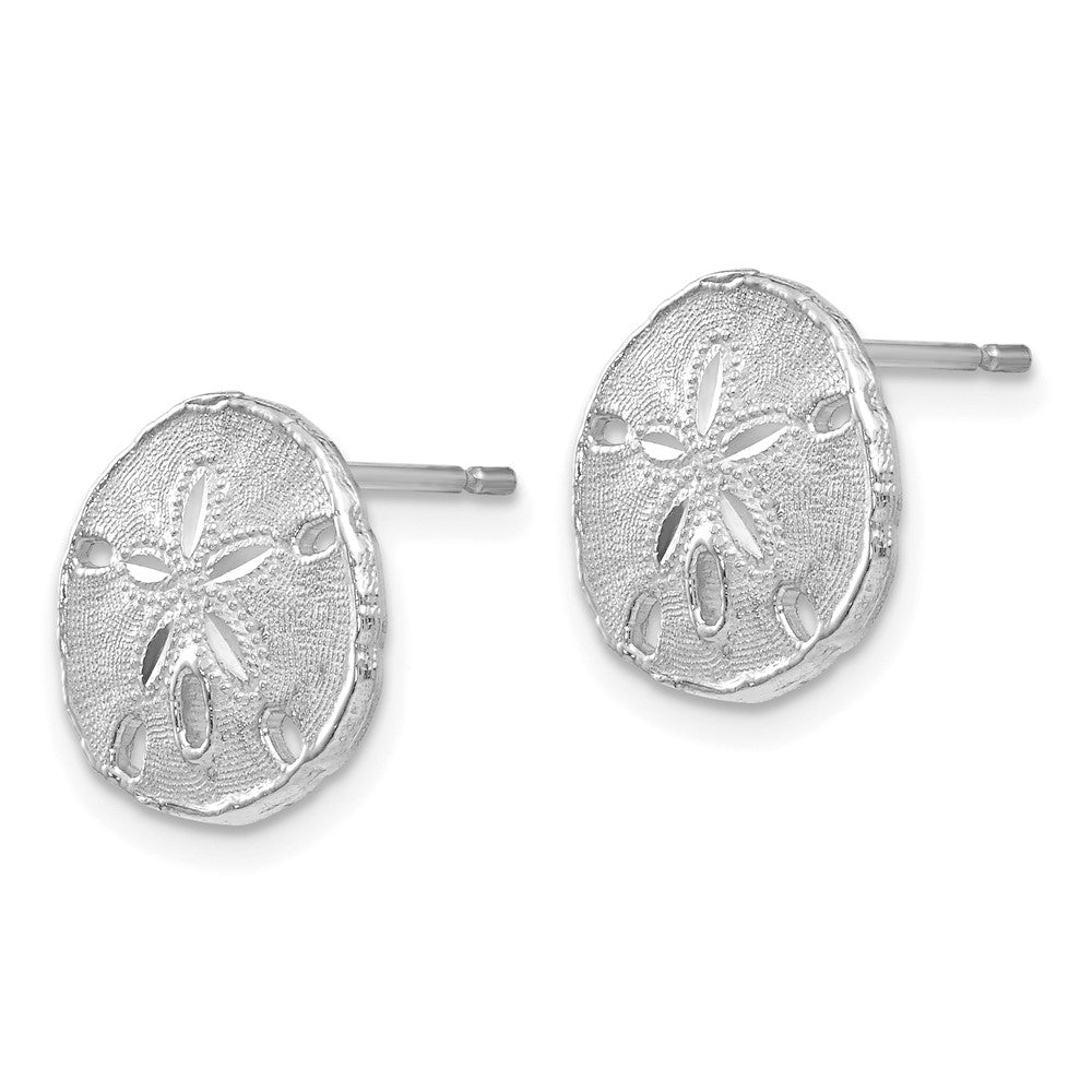 14K Weißgold Sand Dollar Ohrstecker