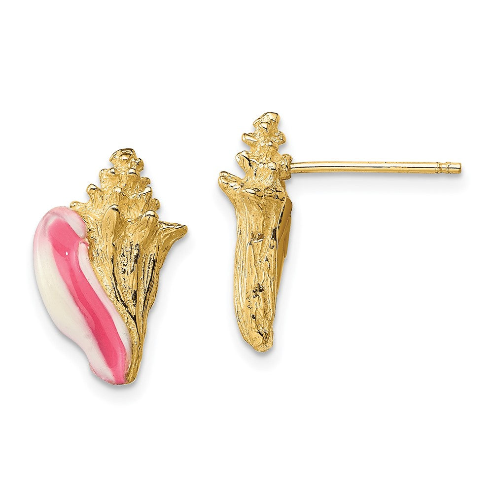 14K Gelbgold Weiß und Rosa Emaille Conch Muschel Ohrstecker