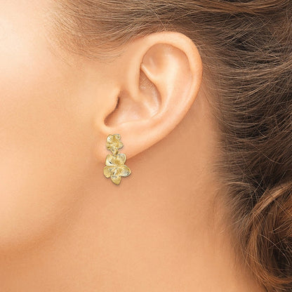 14K Gelbgold Doppelt Plumeria Blume Stecker Ohrhänger