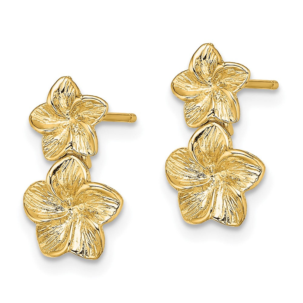 14K Gelbgold Doppelt Plumeria Blume Stecker Ohrhänger