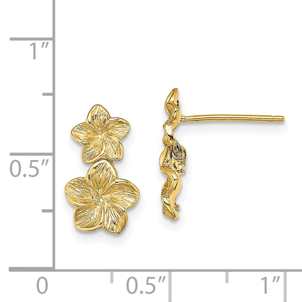 14K Gelbgold Doppelt Plumeria Blume Stecker Ohrhänger