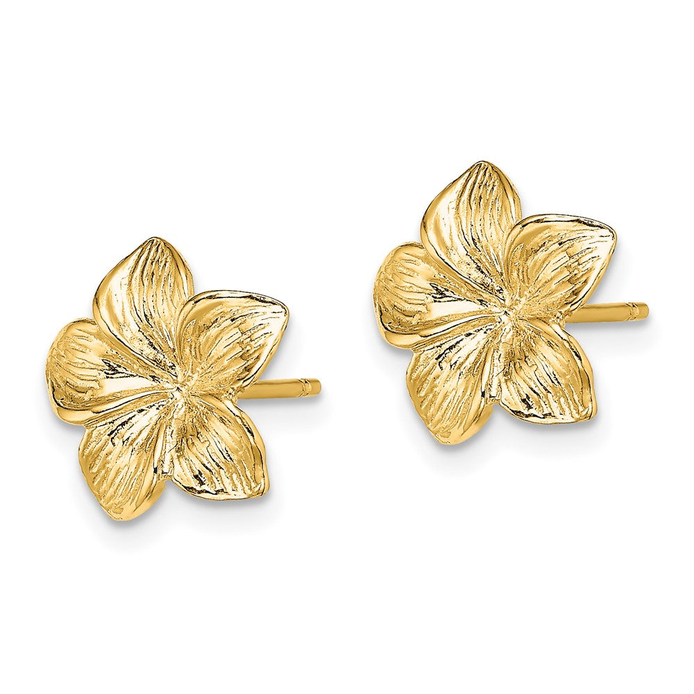 14K Gelbgold Plumeria Blume Ohrstecker