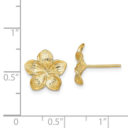 14K Gelbgold Plumeria Blume Ohrstecker