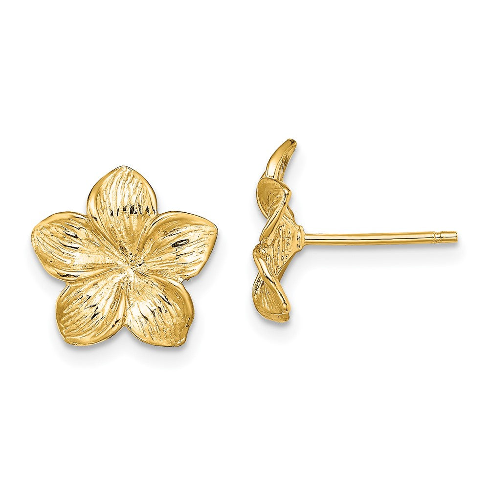 14K Gelbgold Plumeria Blume Ohrstecker