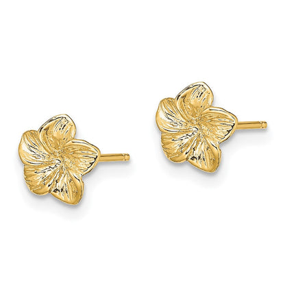 14K Gelbgold Plumeria Blume Ohrstecker