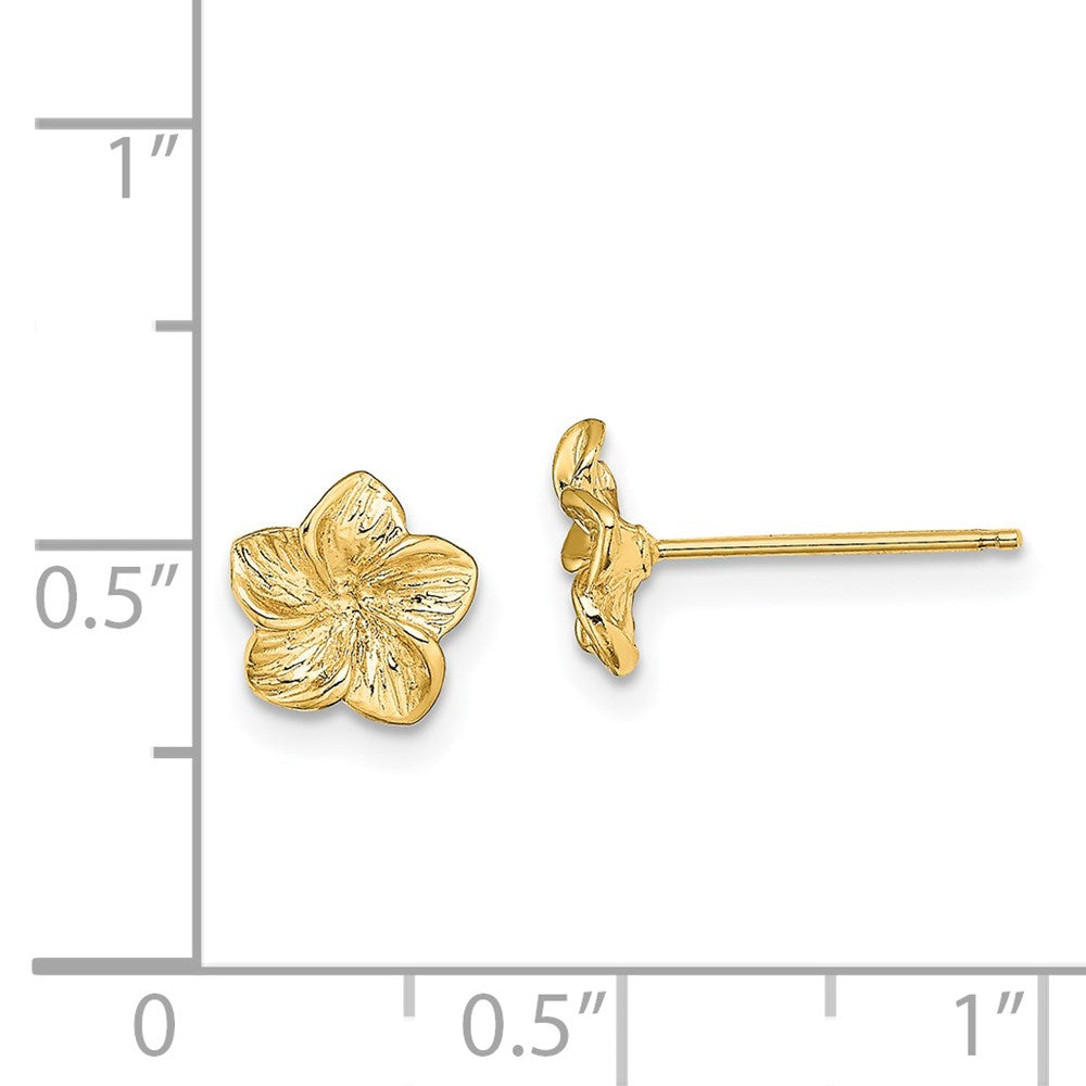 14K Gelbgold Plumeria Blume Ohrstecker