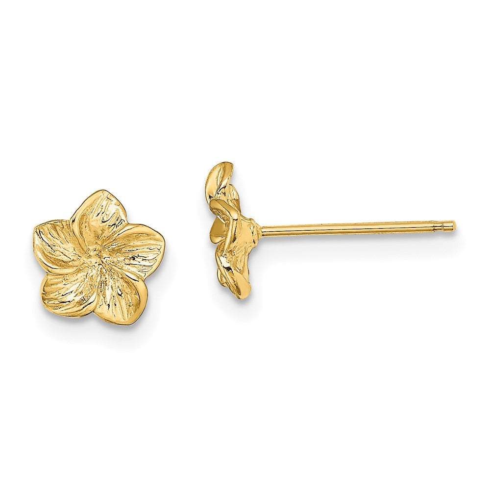 14K Gelbgold Plumeria Blume Ohrstecker