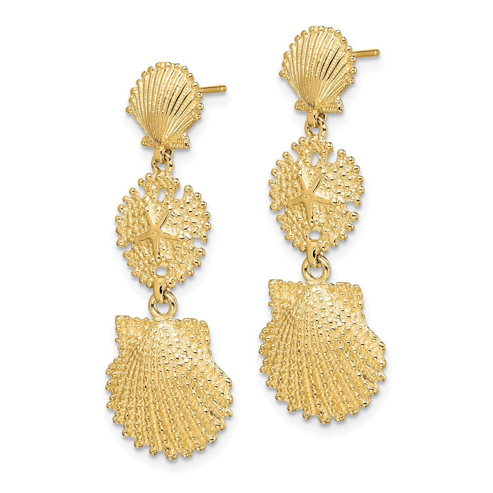 14K Gelbgold Muschel, Sand Dollar,,scallop Ohrhänger