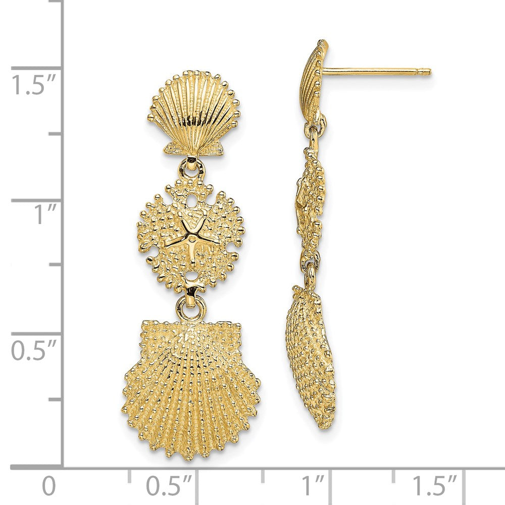 14K Gelbgold Muschel, Sand Dollar,,scallop Ohrhänger