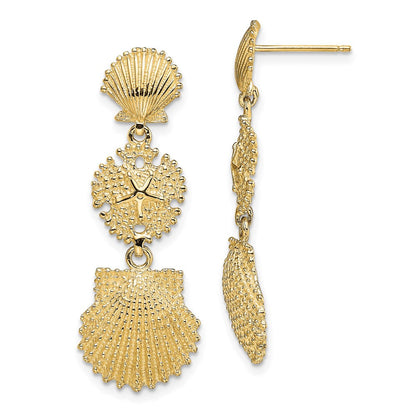 14K Gelbgold Muschel, Sand Dollar,,scallop Ohrhänger