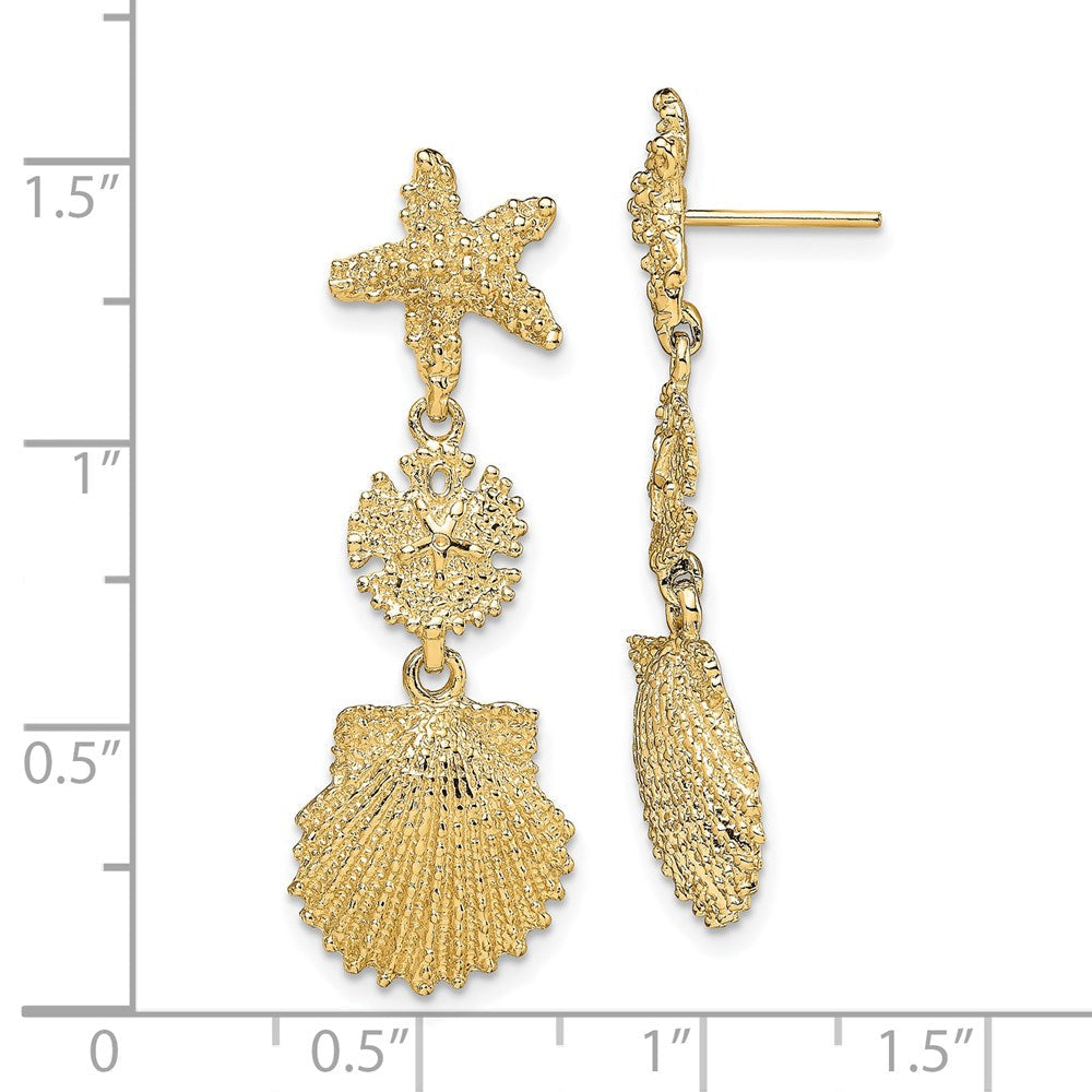 14K Gelbgold Seestern, Sand Dollar,scallop Muschel Ohrhänger