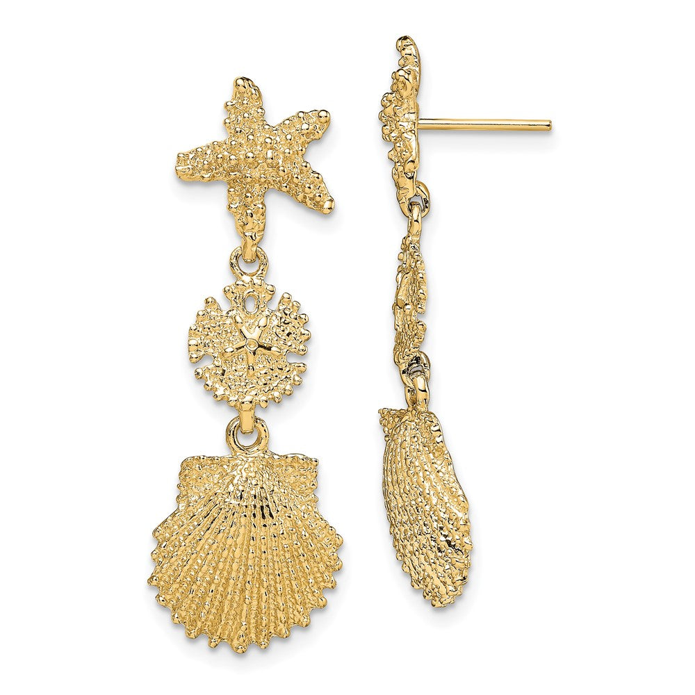 14K Gelbgold Seestern, Sand Dollar,scallop Muschel Ohrhänger