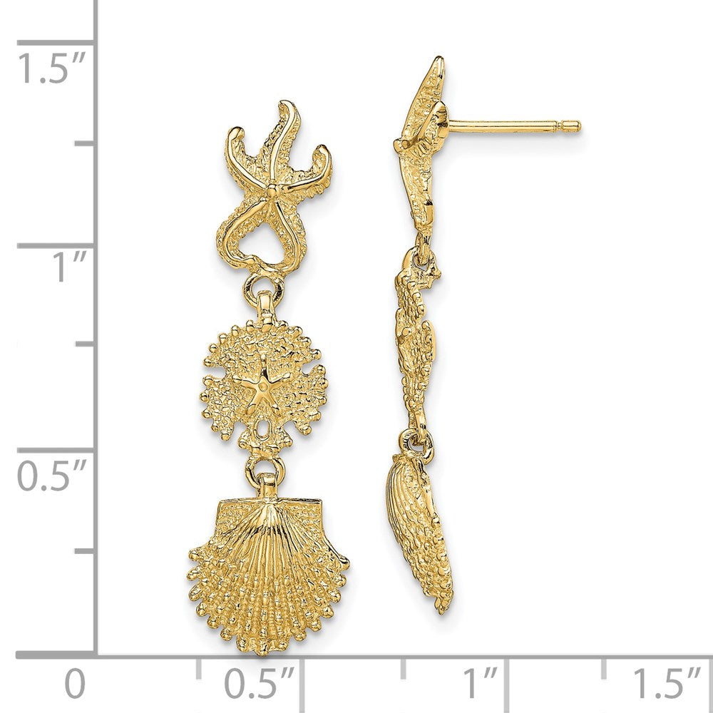 14K Gelbgold Seestern, Sand Dollar,scallop Muschel Ohrhänger