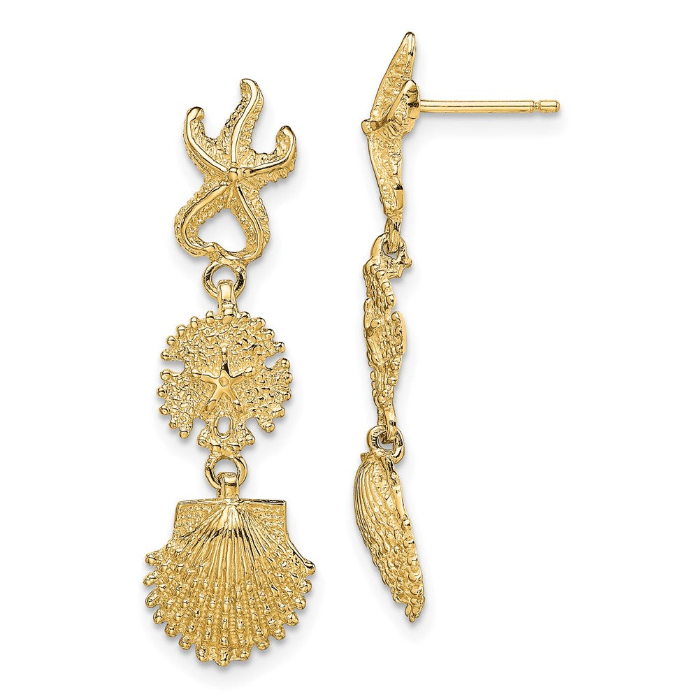 14K Gelbgold Seestern, Sand Dollar,scallop Muschel Ohrhänger