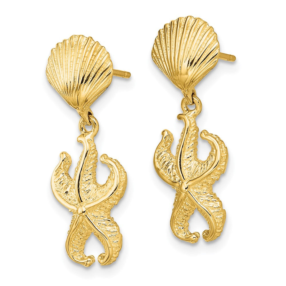 14K Gelbgold Muschel/starfish Ohrhänger