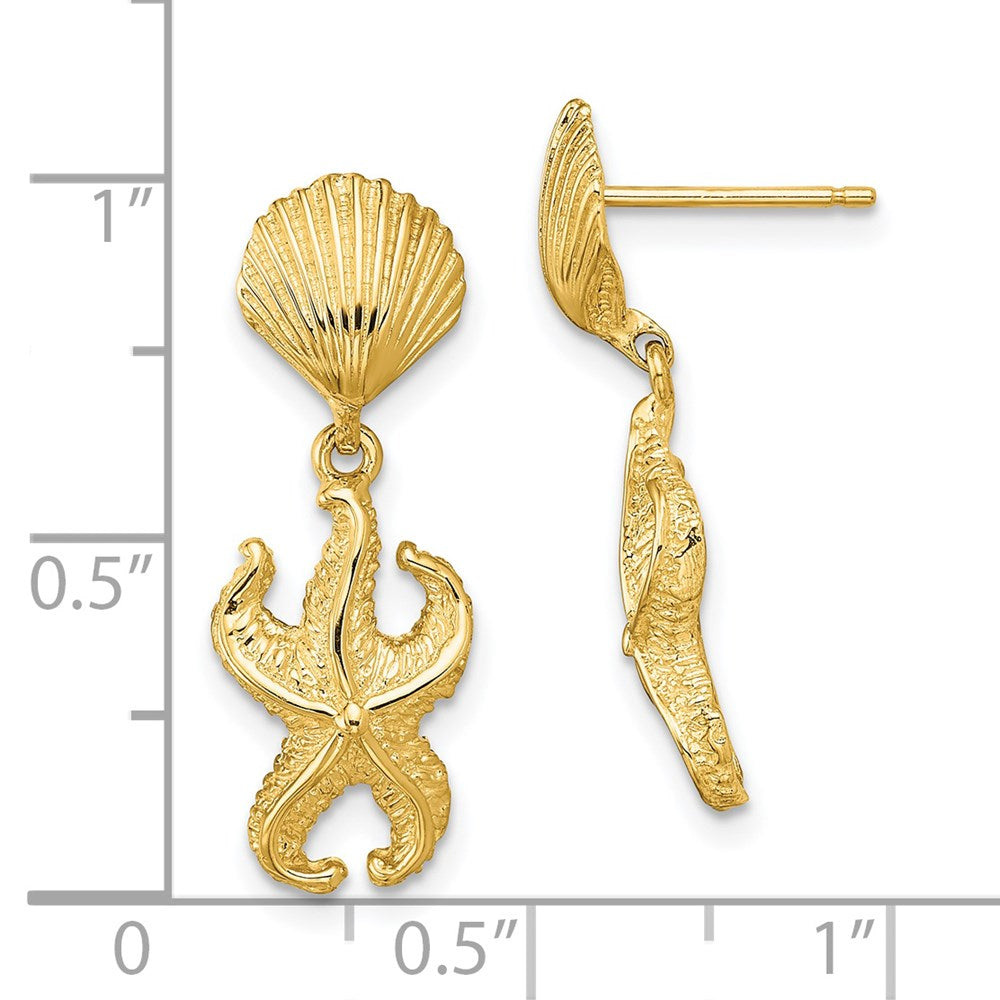 14K Gelbgold Muschel/starfish Ohrhänger