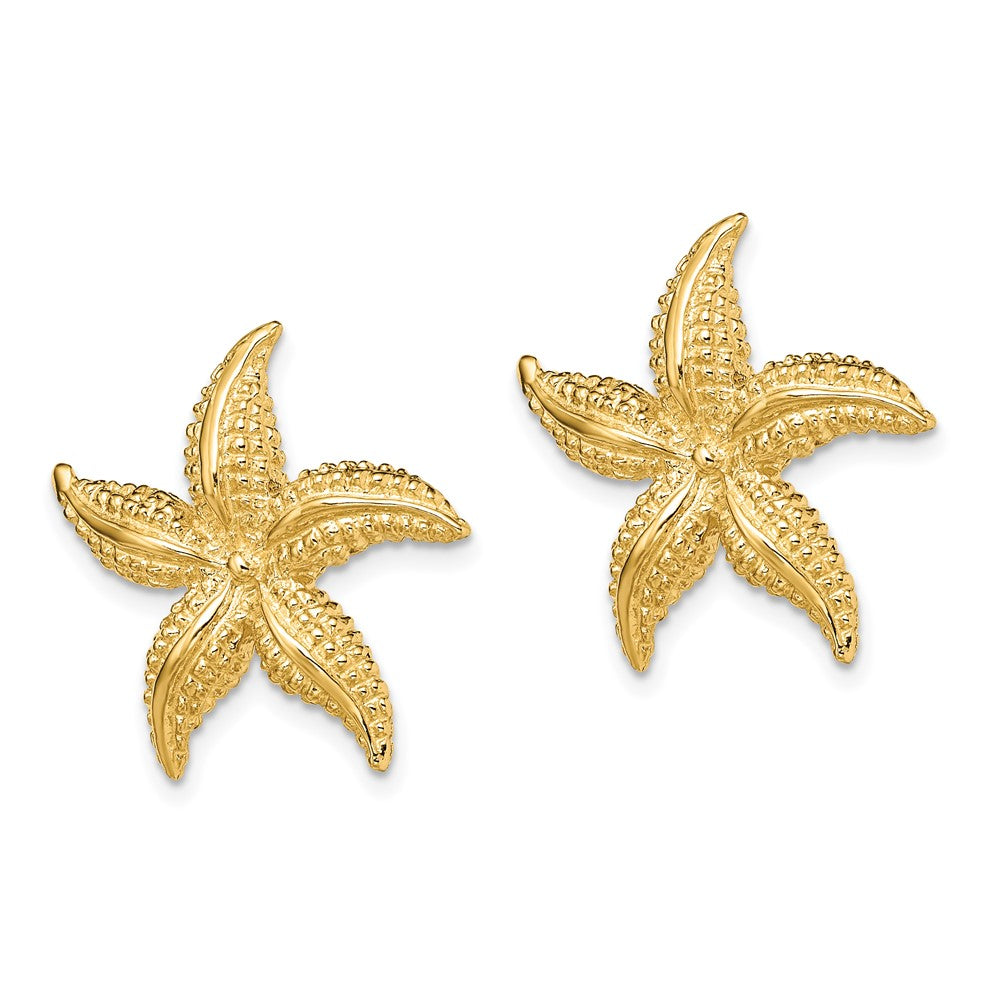 14K Gelbgold 2-d Poliert und Strukturiert Seestern Ohrstecker